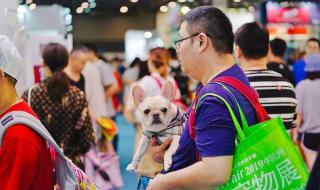 杭州哪里有花卉市场 杭州宠物用品批发市场